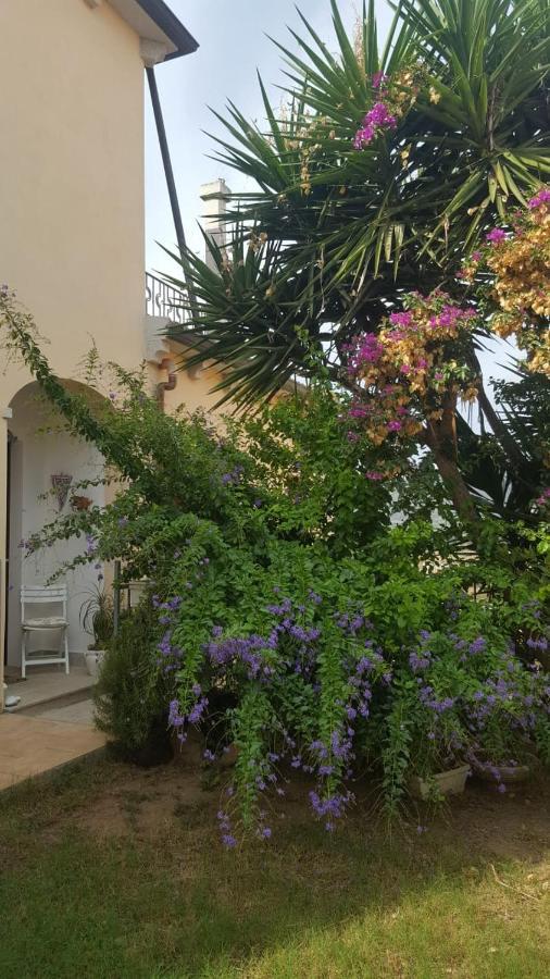 B&B Villa Orchidea Olbia Extérieur photo