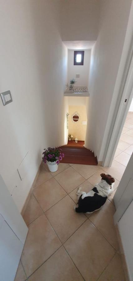 B&B Villa Orchidea Olbia Extérieur photo
