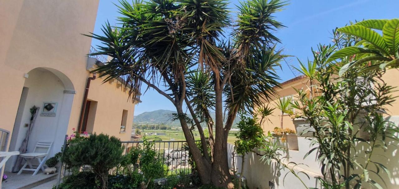 B&B Villa Orchidea Olbia Extérieur photo